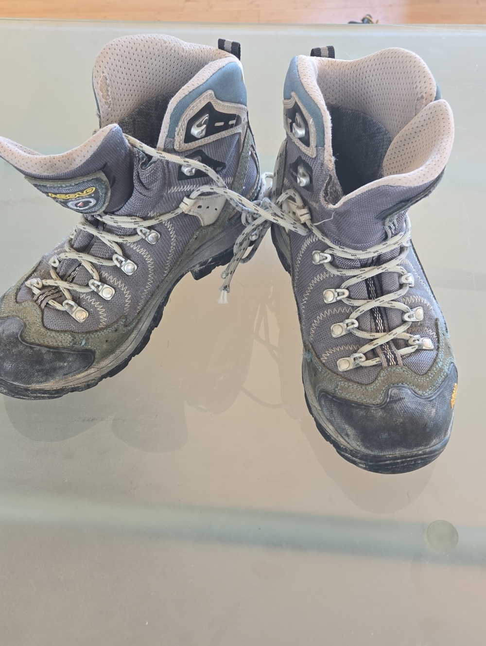Asolo Men's Gray and Black Athletic Hiking Boots